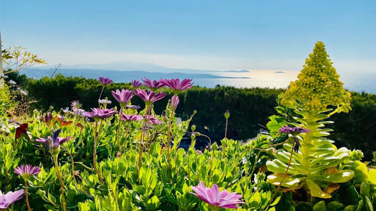 Vue Mer Panoramique Et Piscine Бандоль Екстер'єр фото